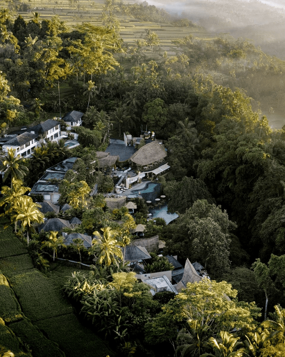 Capella Ubud dengan arsitektur mewah dan suasana alam tropis Bali